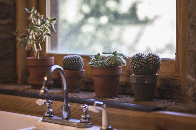 Apartment Plant Styling